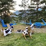 - Les Fermes De Celine - Barcelonnette Domek alpejski Enchastrayes